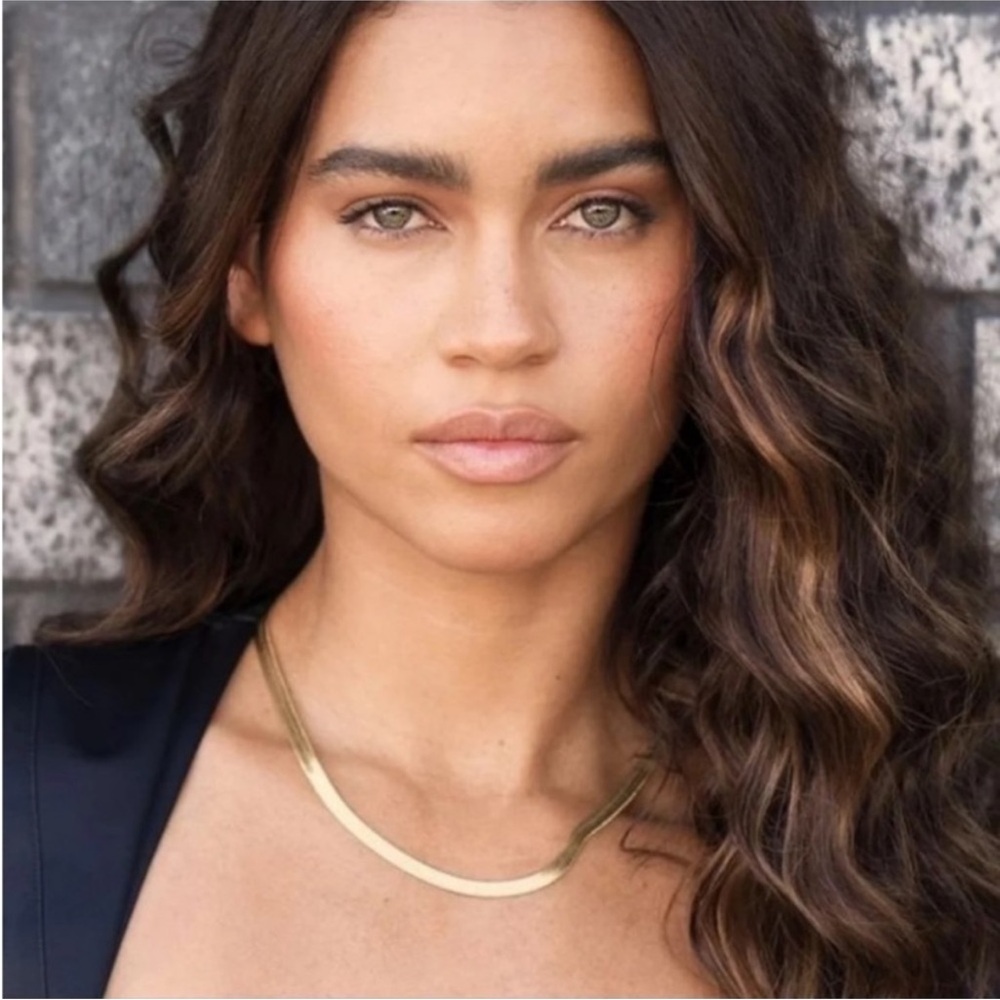 Gold Plated sterling silver Jennifer Zeuner lay-flat herringbone necklace gift